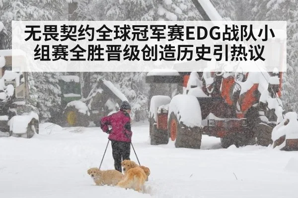 无畏契约全球冠军赛EDG战队小组赛全胜晋级创造历史引热议